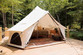 Ilex Forest Retreat Camp Azalea